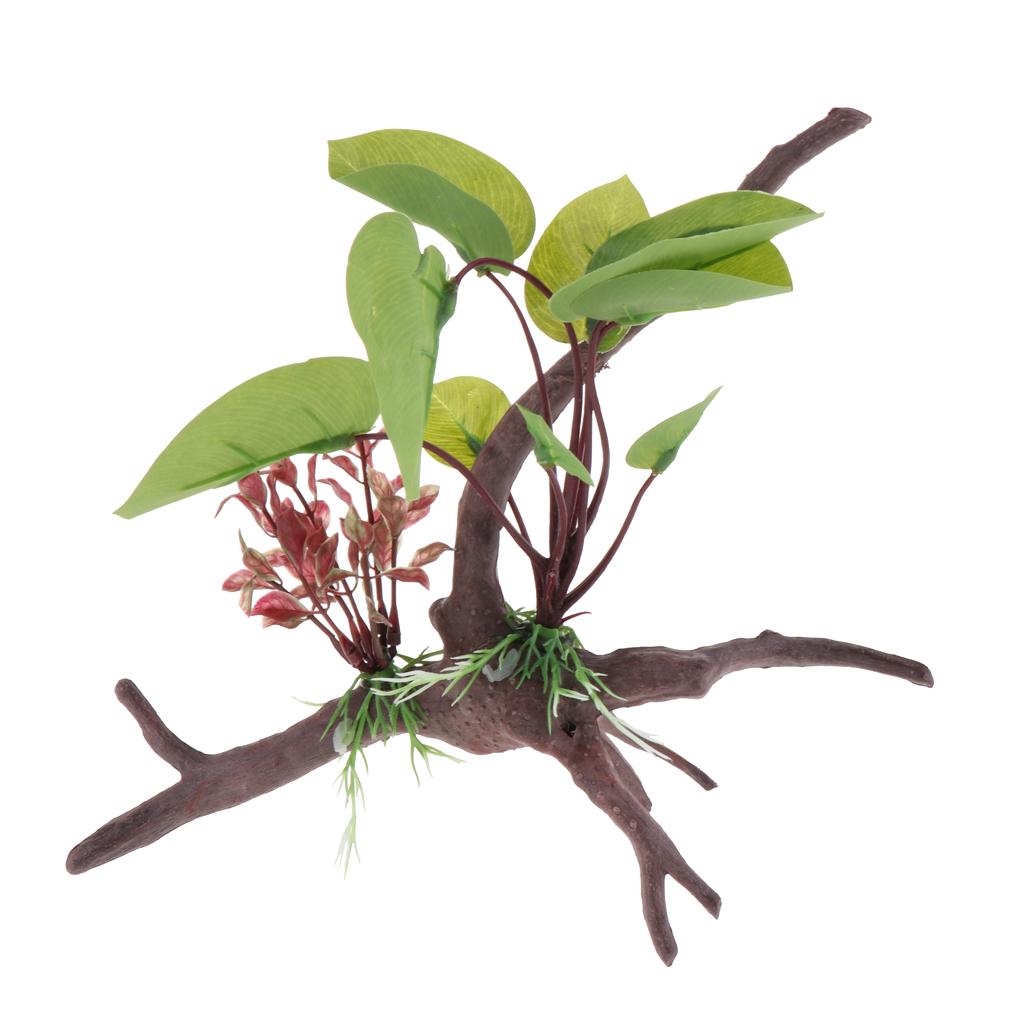 Plante de Terrarium de Reptile - Aquarium Plant Vine avis et prix