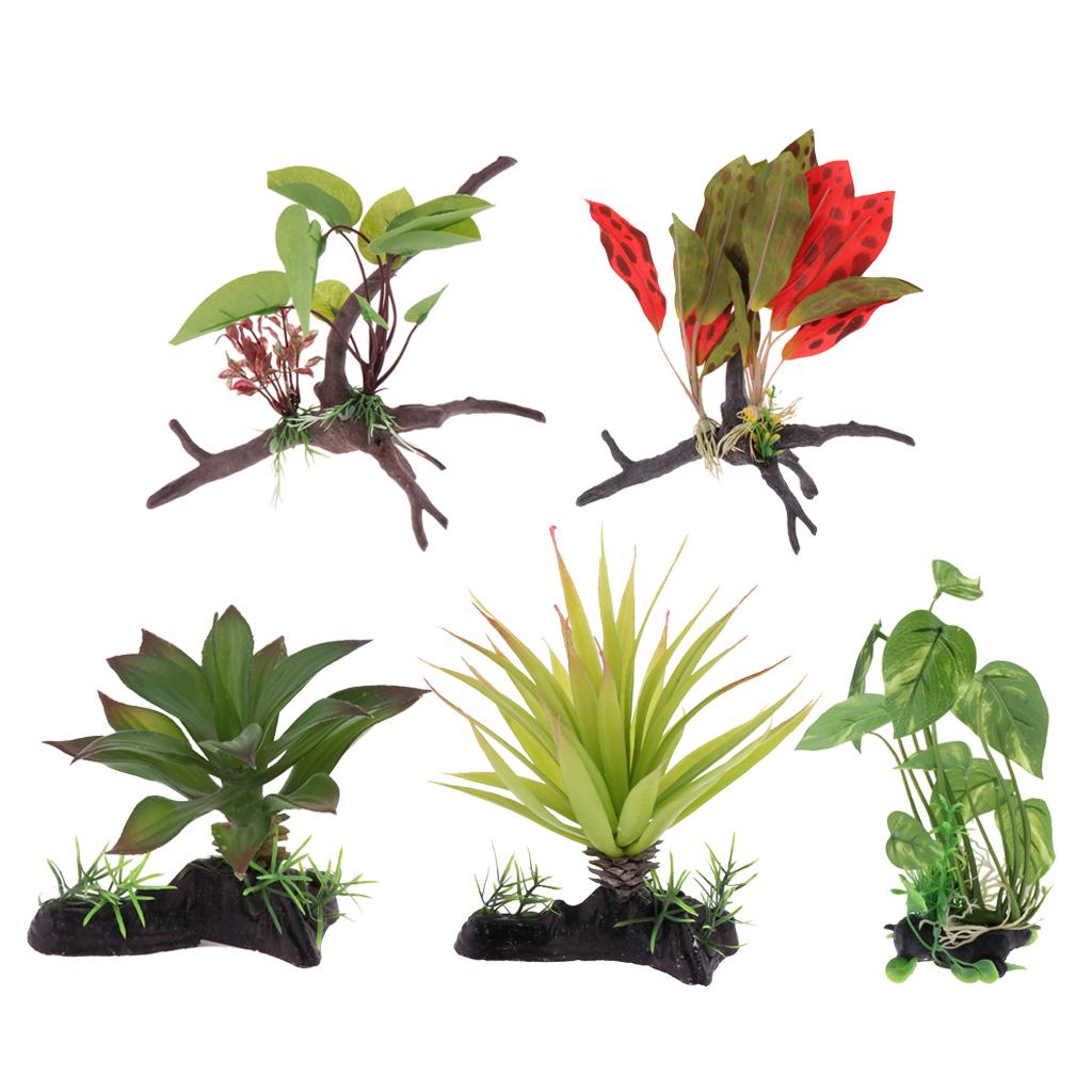 Plante de Terrarium de Reptile - Aquarium Plant Vine avis et prix