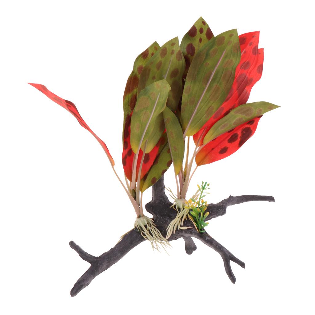Plante de Terrarium de Reptile - Aquarium Plant Vine avis et prix