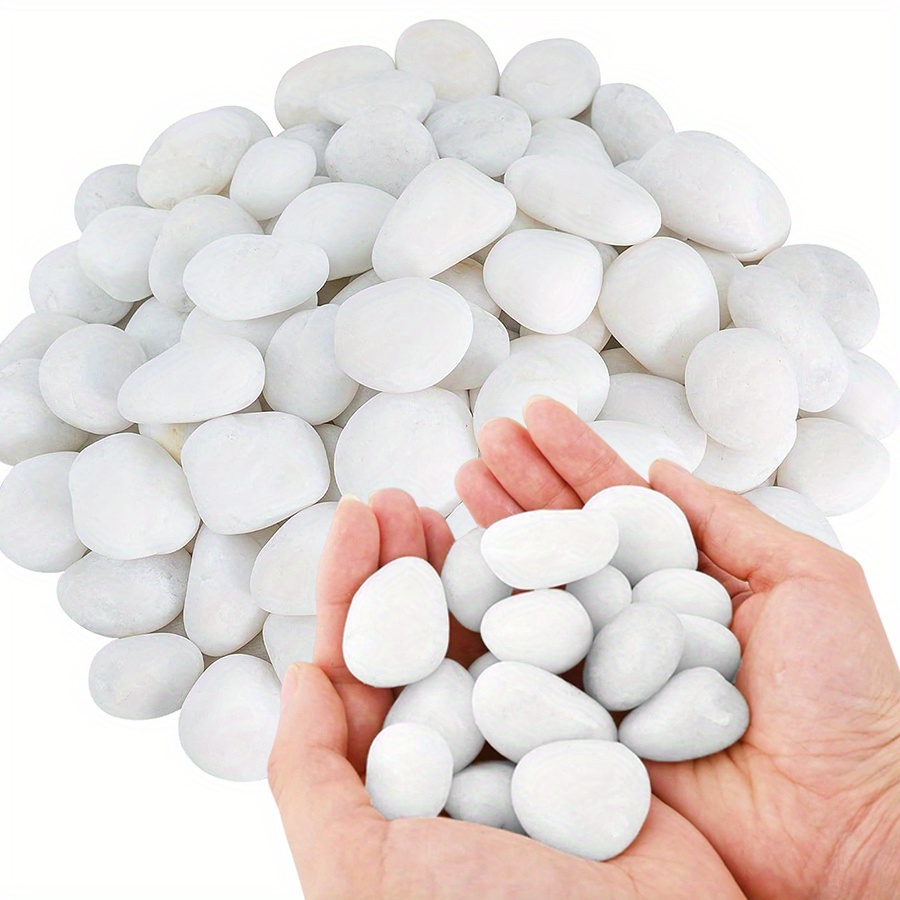 Cerfsets naturels blancs haute - Aquarium Plant Display avis et prix