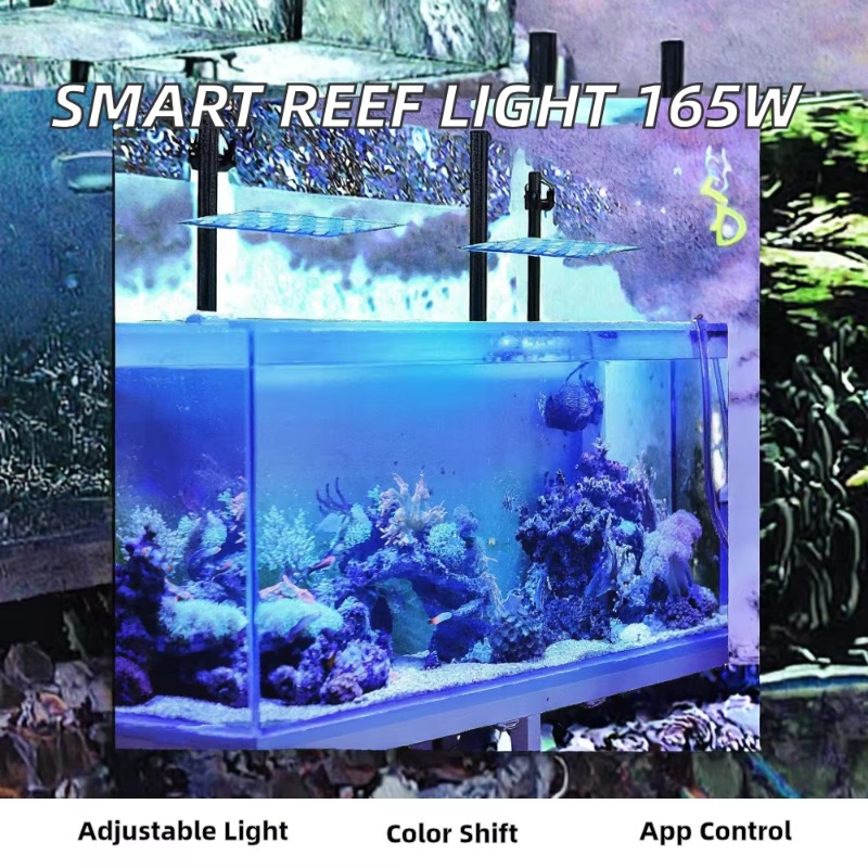 Lumière LED pour aquarium 165W - Planted Aquarium Models avis et prix