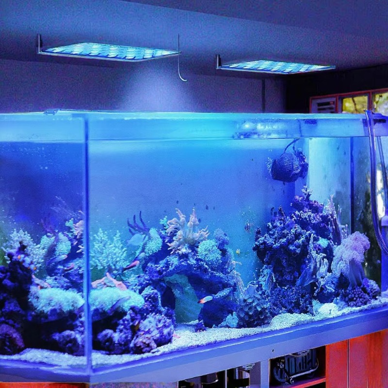 Lumière LED pour aquarium 165W - Planted Aquarium Models avis et prix