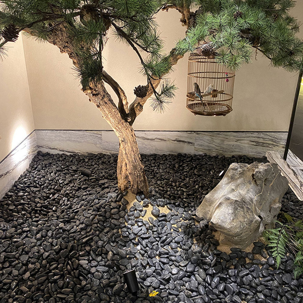 1 ensemble de galets d'aquariu - Planted Aquarium With Rocks avis et prix