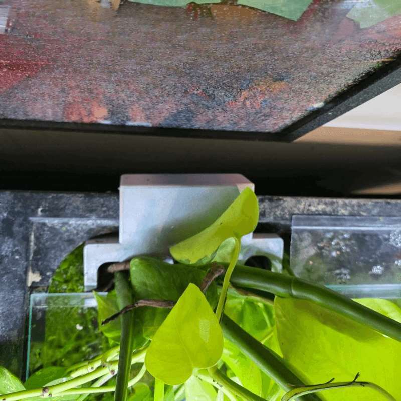 Support latéral pour plantes d - Aquarium Planted Soil avis et prix