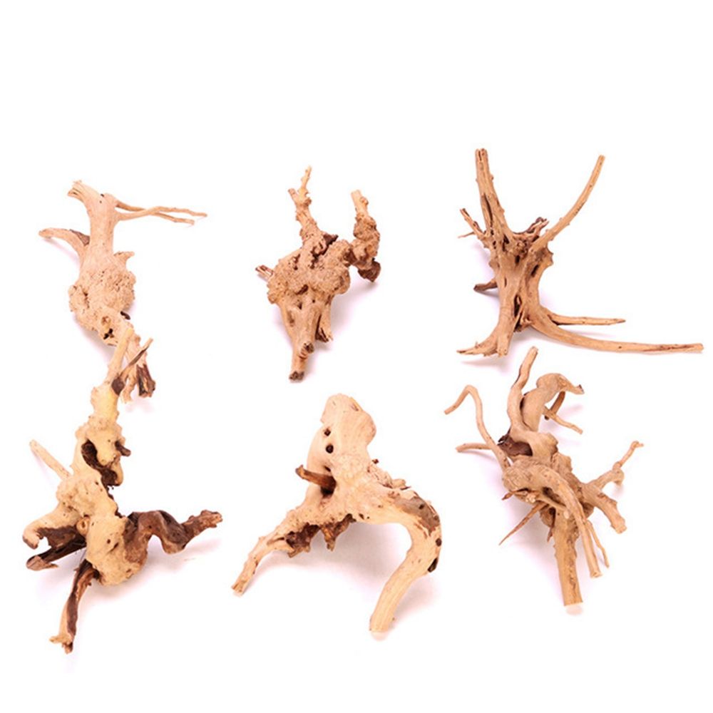 Bois N1N aménagement paysager  - Aquarium Planted Wood avis et prix
