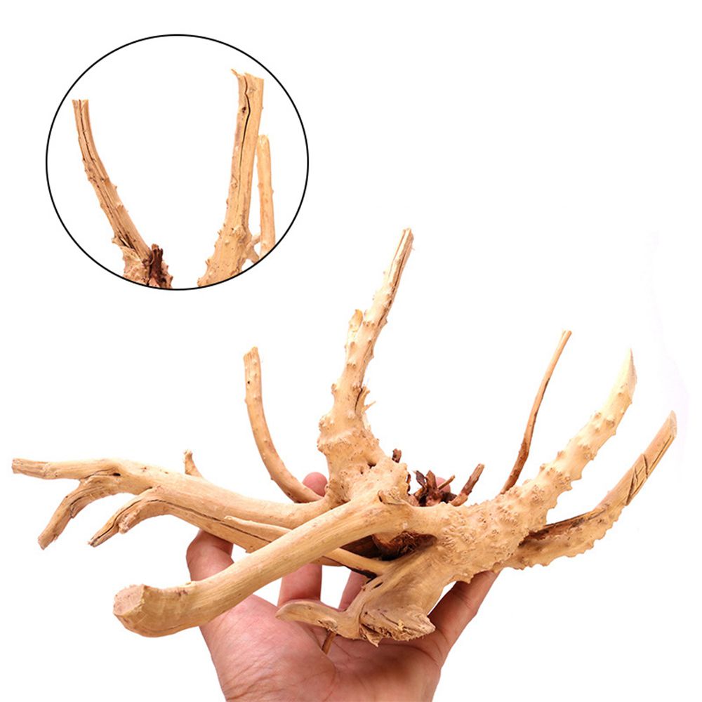 Bois N1N aménagement paysager  - Aquarium Planted Wood avis et prix