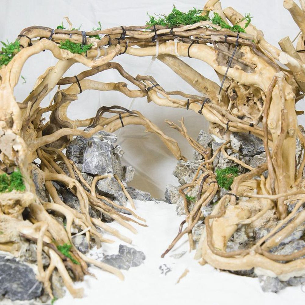 Bois N1N aménagement paysager  - Aquarium Planted Wood avis et prix