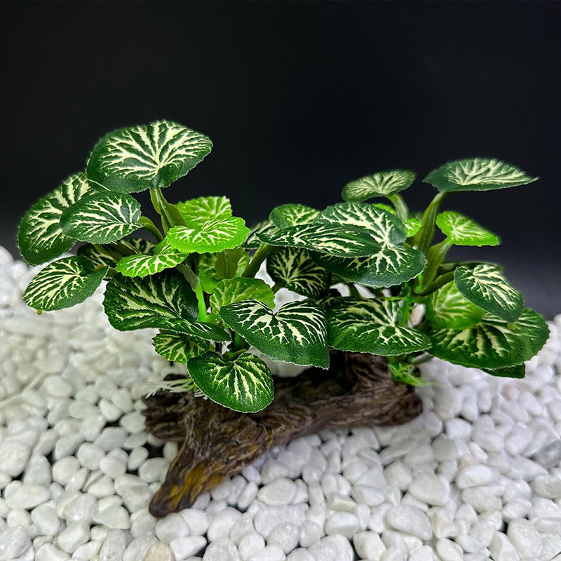 Herbe sous-marine artificielle - Aquarium Planted Background avis et prix