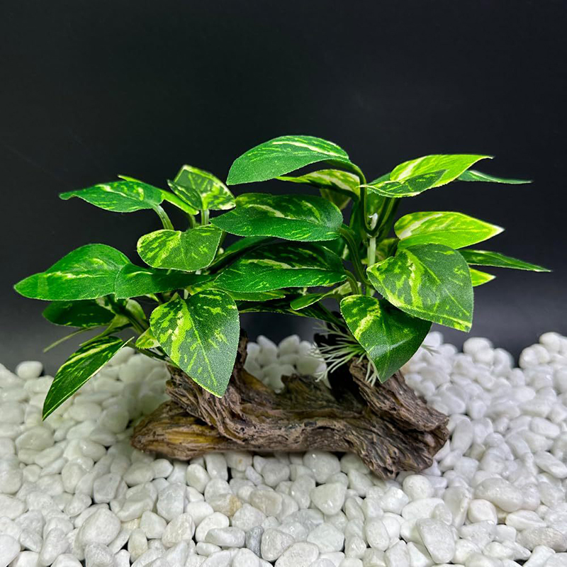 Herbe sous-marine artificielle - Aquarium Planted Background avis et prix