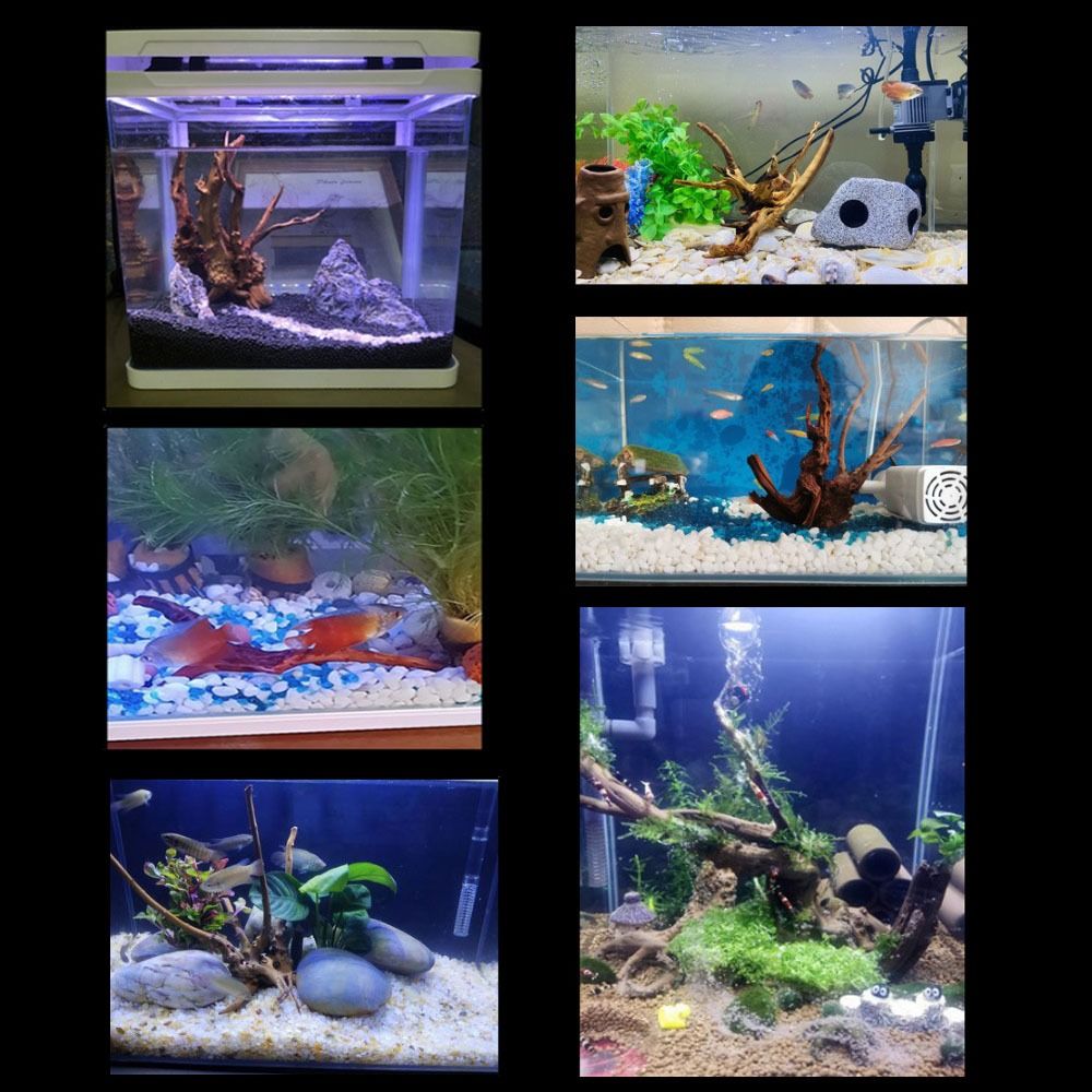 Tronc d'arbre naturel pour déc - Aquarium Planted Wood avis et prix