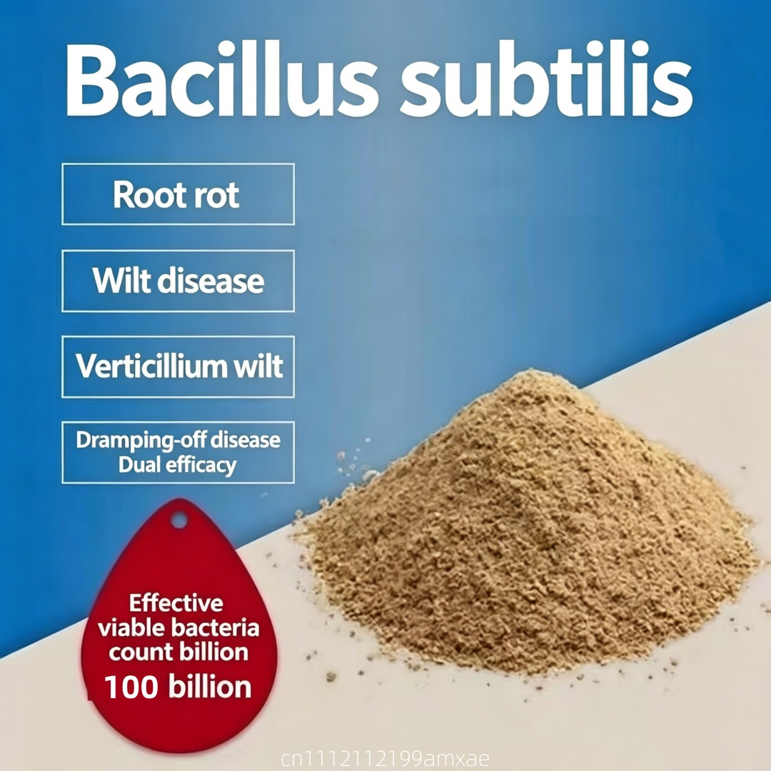 Poudre de Bacillus Subtilis à  - Aquarium Planted Soil avis et prix