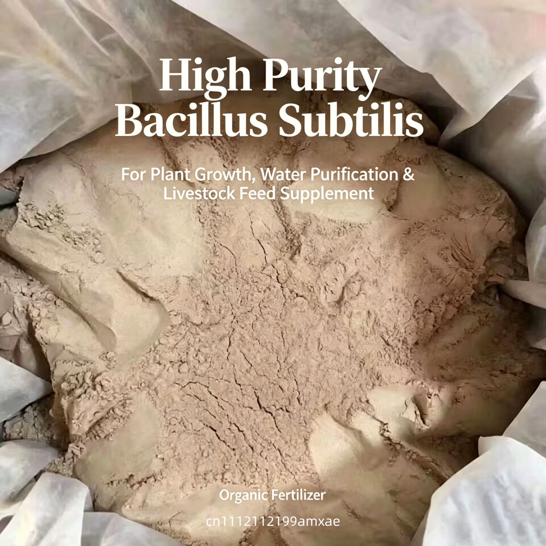 Poudre de Bacillus Subtilis à  - Aquarium Planted Soil avis et prix