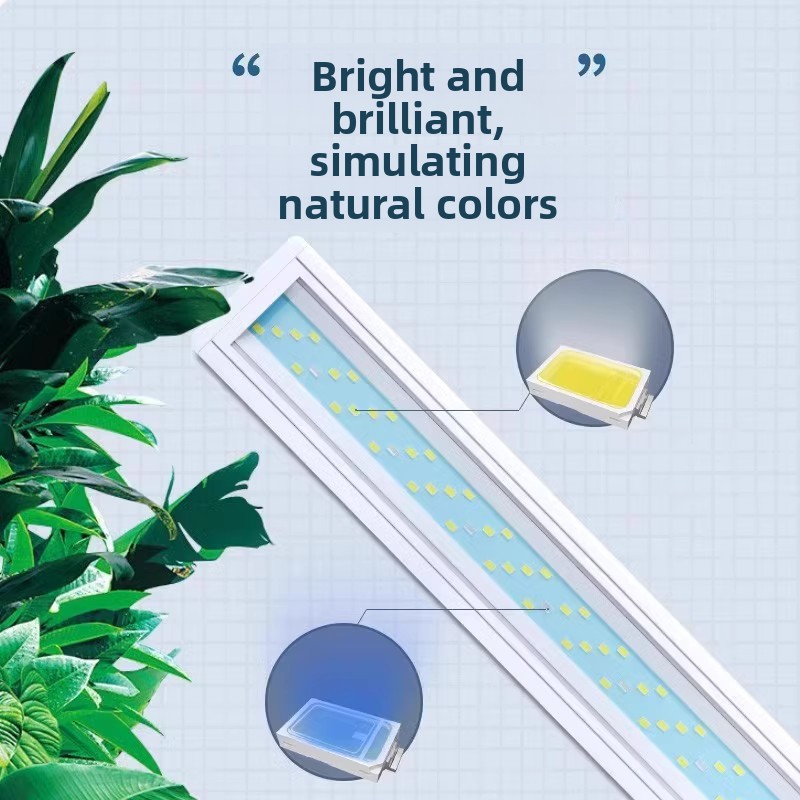 Lumière LED pour aquarium à sp - Aquarium Planted Background avis et prix