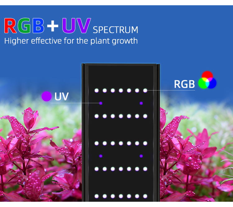 WEconvex-Variateur et minuteri - Aquarium Plant Display avis et prix