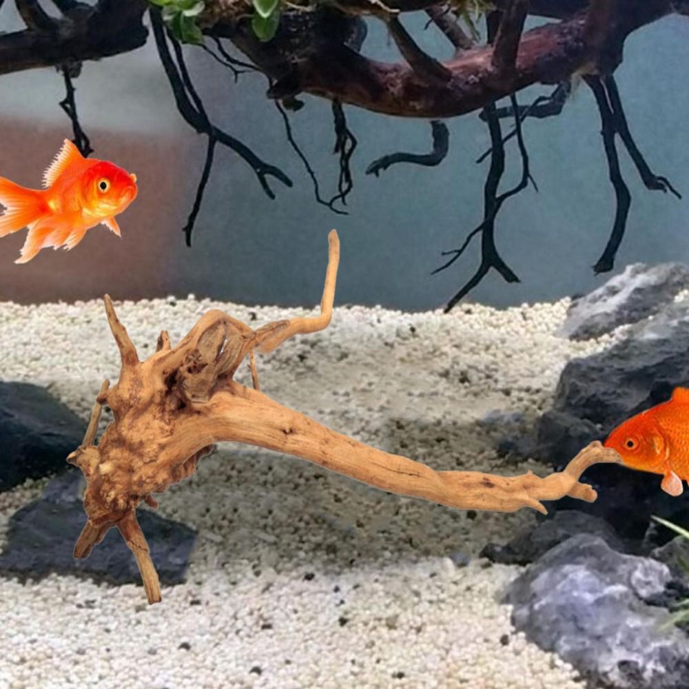 Bois flotté naturel de 20-25 c - Aquarium Planted Wood avis et prix