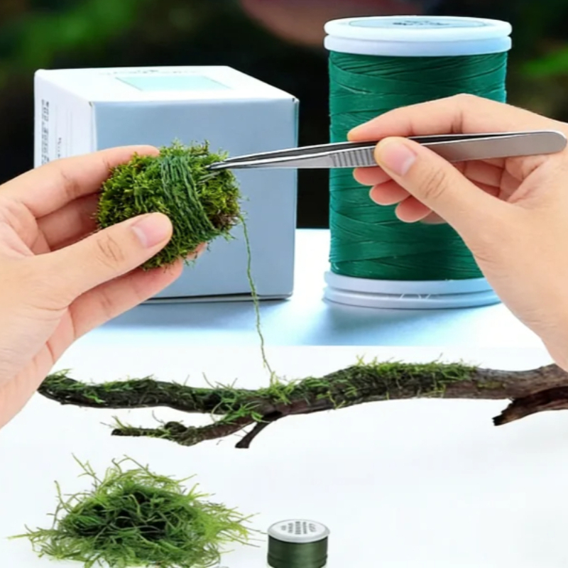 Fil de mousse biodégradable po - Planted Aquarium With Rocks avis et prix