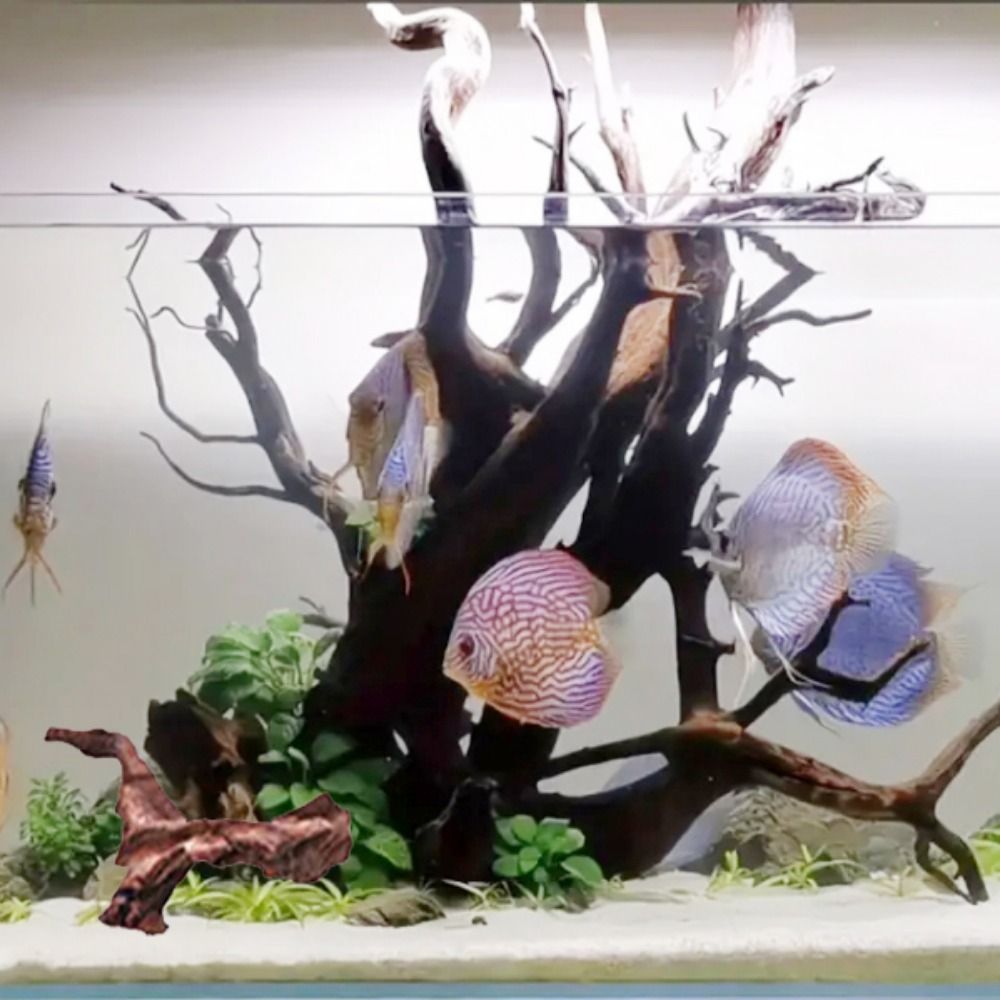 Tronc de bois flotté naturel e - Aquarium Planted Soil avis et prix