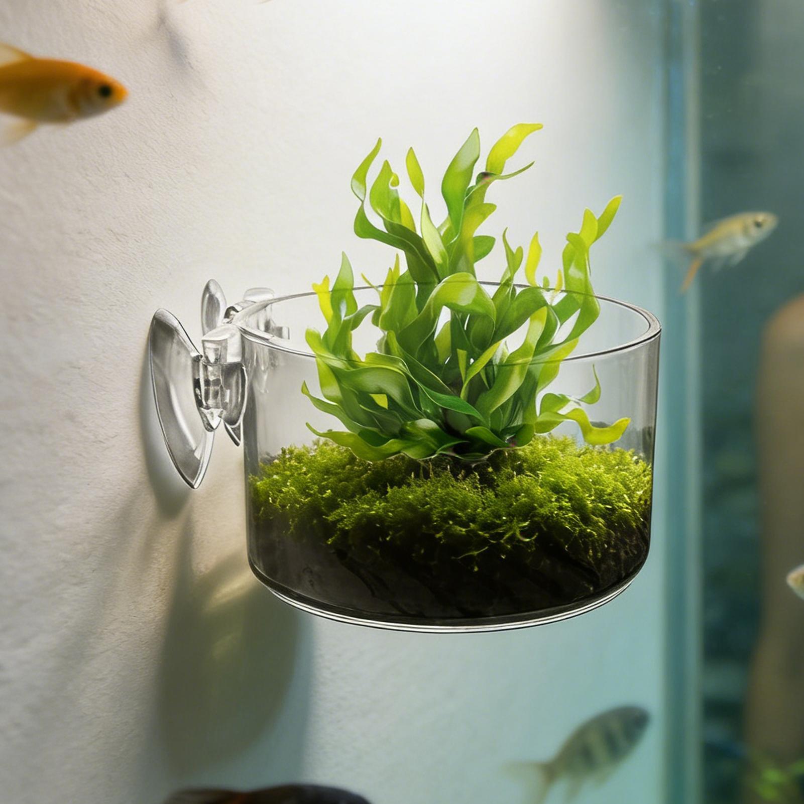 Support de plante d'aquarium e - Aquarium Planted Background avis et prix