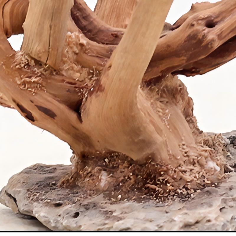 Ornements en bois pour aménage - Aquarium Planted Soil avis et prix