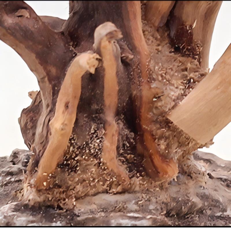Ornements en bois pour aménage - Aquarium Planted Soil avis et prix