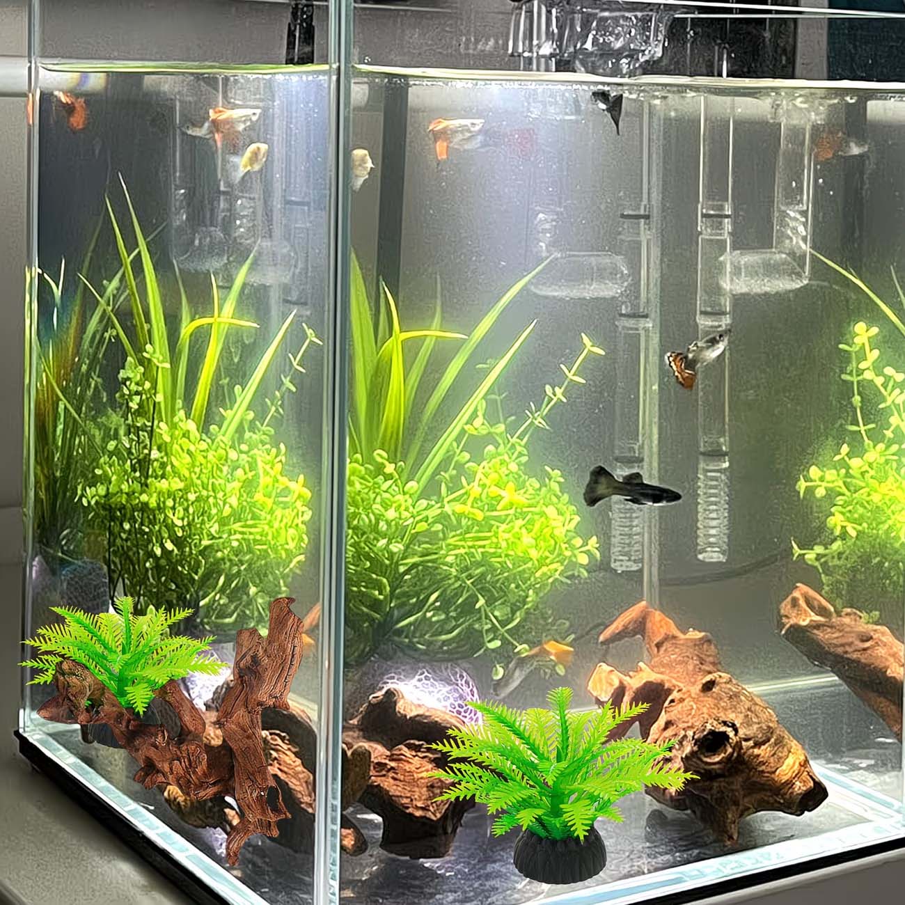 Bois flottant naturel de 5 à 1 - Aquarium Planted Wood avis et prix