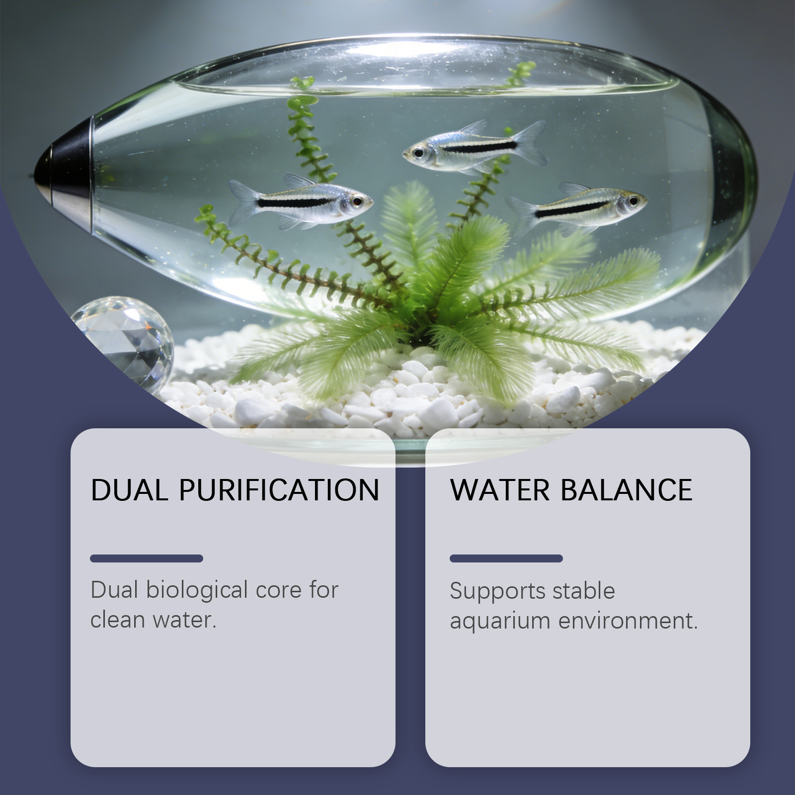 Comprimés anti-algues pour aqu - Planted Aquarium Cloudy Water avis et prix