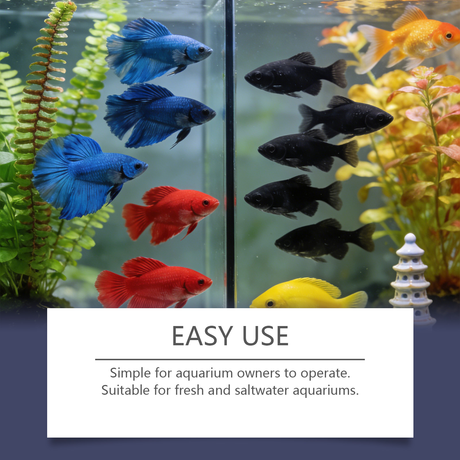 Comprimés anti-algues pour aqu - Planted Aquarium Cloudy Water avis et prix
