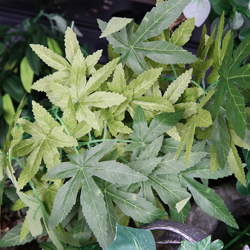 Plantes artificielles Reptizoo - Aquarium Plant Vine avis et prix