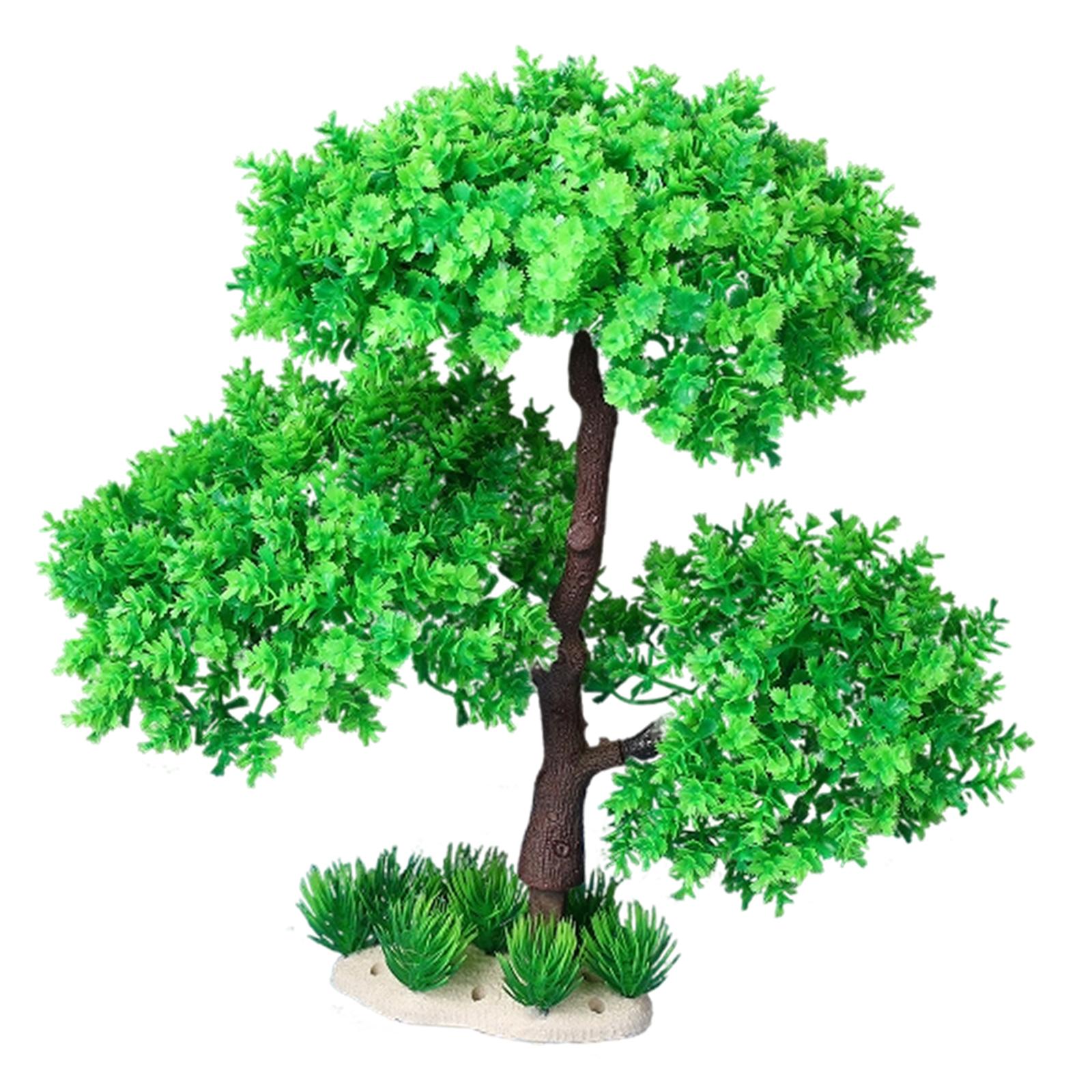 Modèle d'arbre paysager pour a - Planted Aquarium Models avis et prix