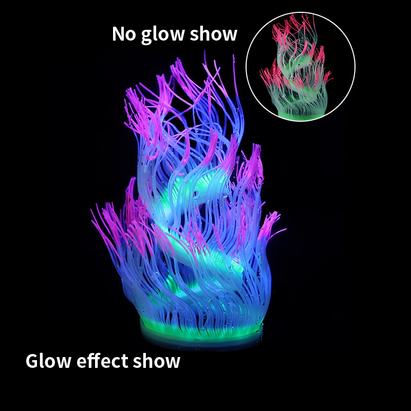Plantes de corail anémone de m - Aquarium Plant Gel avis et prix