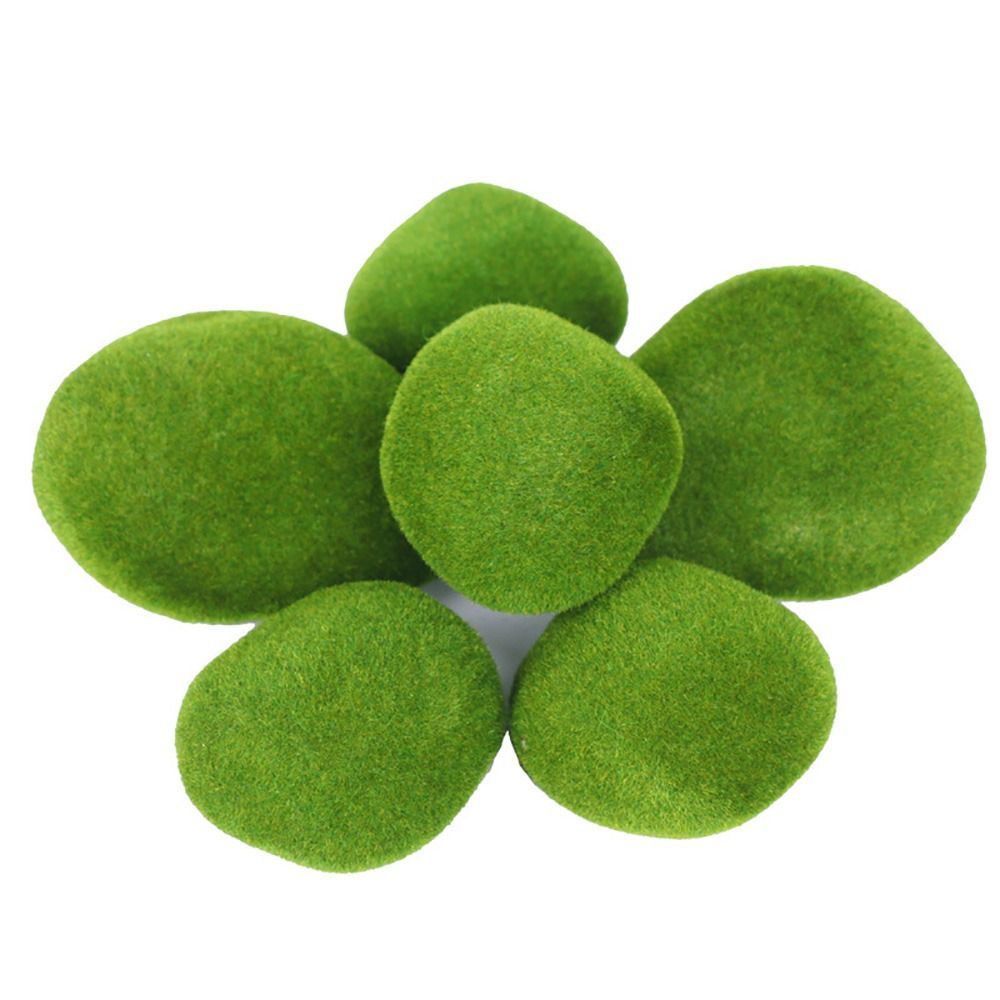 2/4/6/10 PIÈCES Roches de mous - Planted Aquarium With Rocks avis et prix