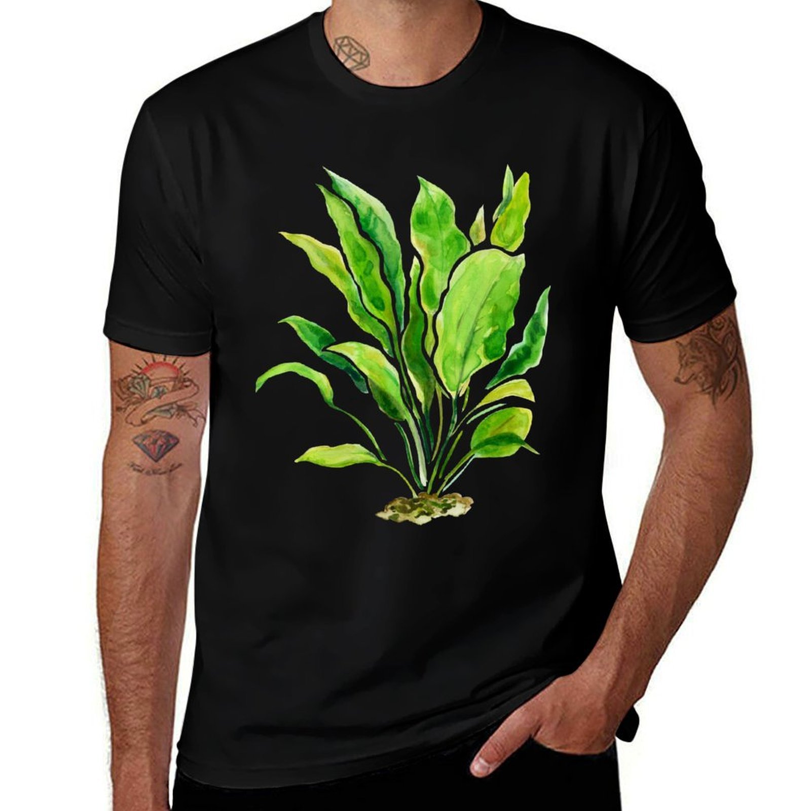 Aquarium Plants Series Amazon  - Planted Aquarium Basics avis et prix