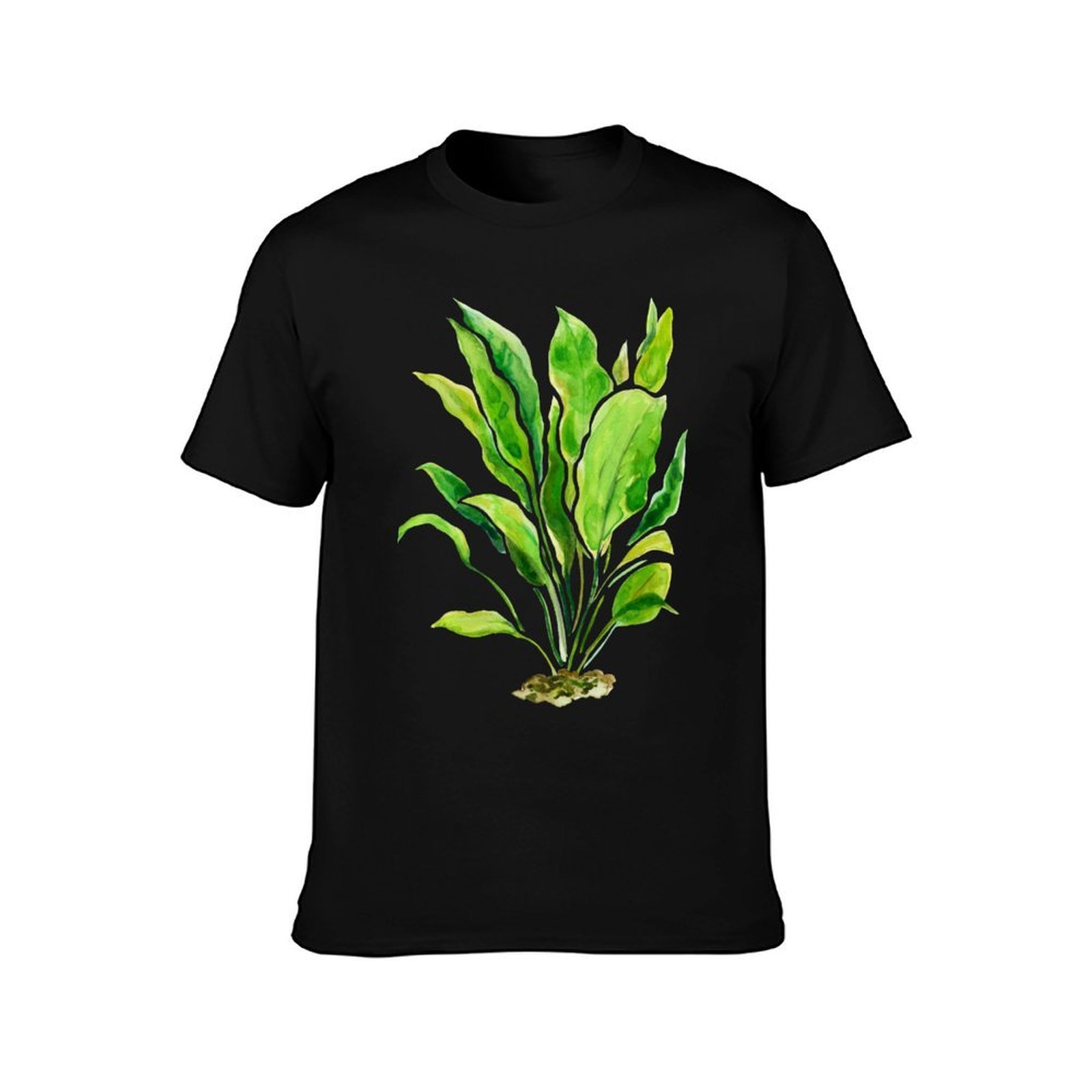 Aquarium Plants Series Amazon  - Planted Aquarium Basics avis et prix