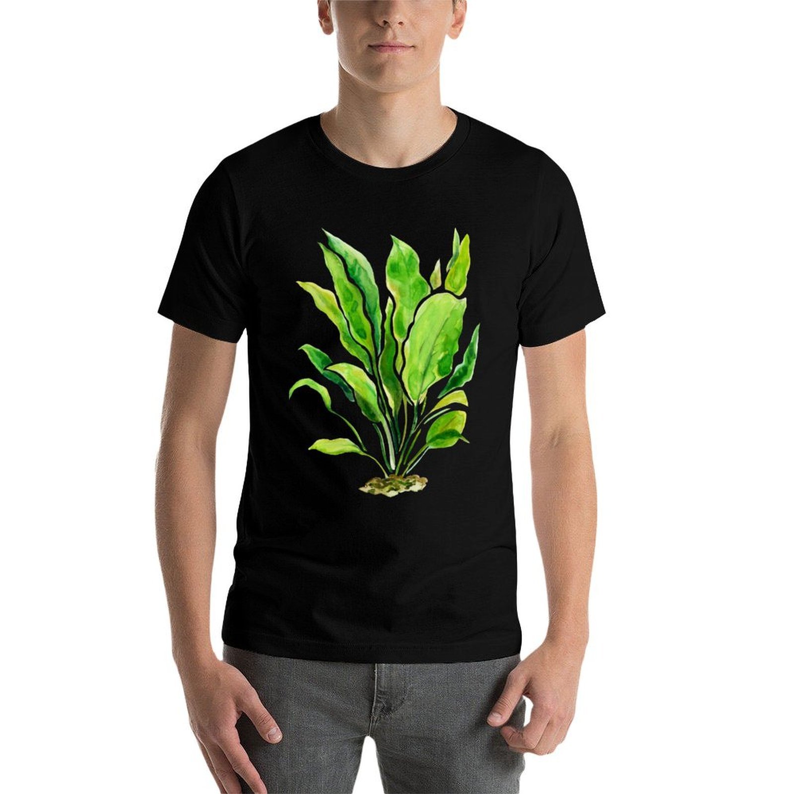 Aquarium Plants Series Amazon  - Planted Aquarium Basics avis et prix
