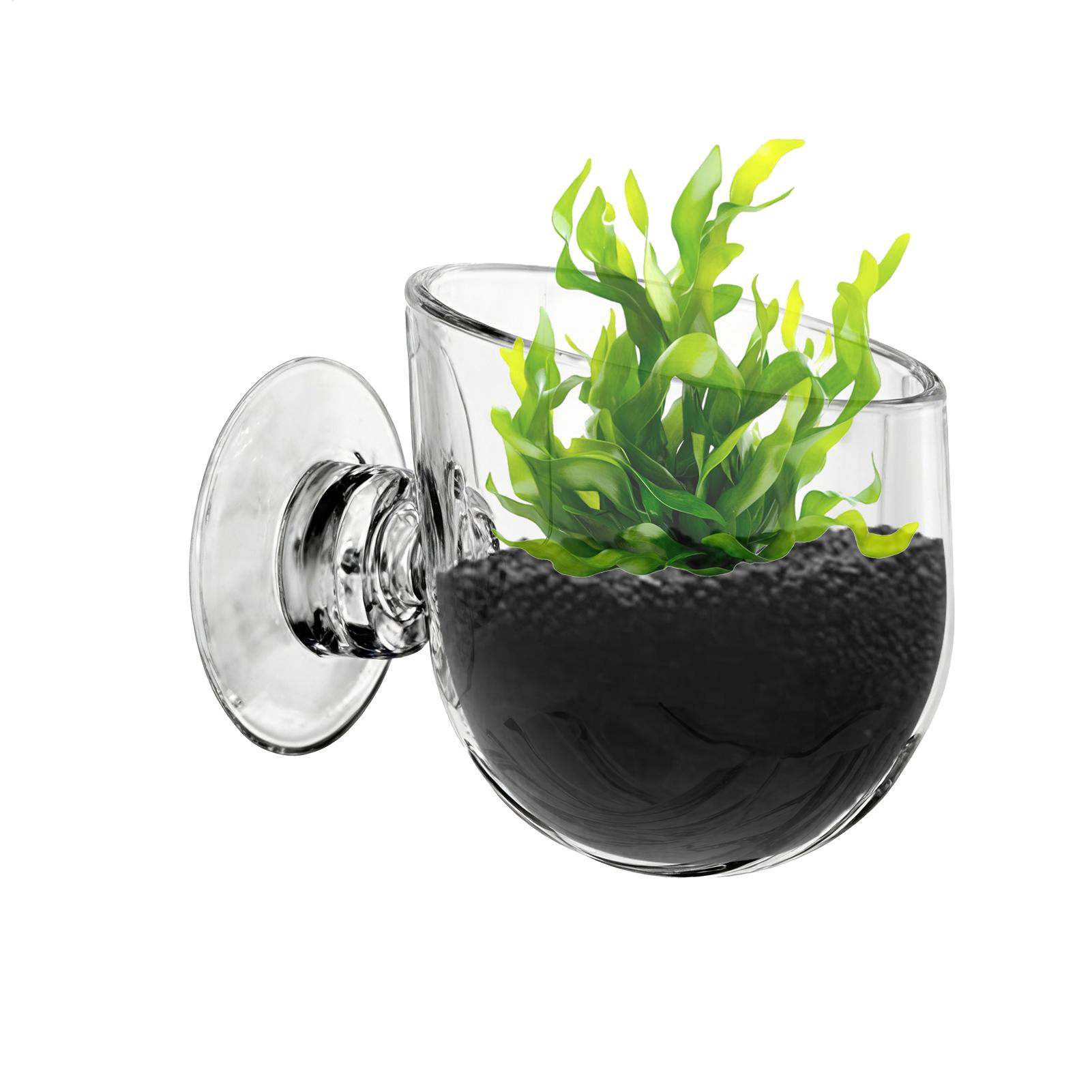 Support pour plantes d'aquariu - Aquarium Planted Background avis et prix