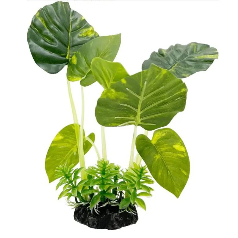 Petite herbe sous-marine pour  - Aquarium Planted Background avis et prix