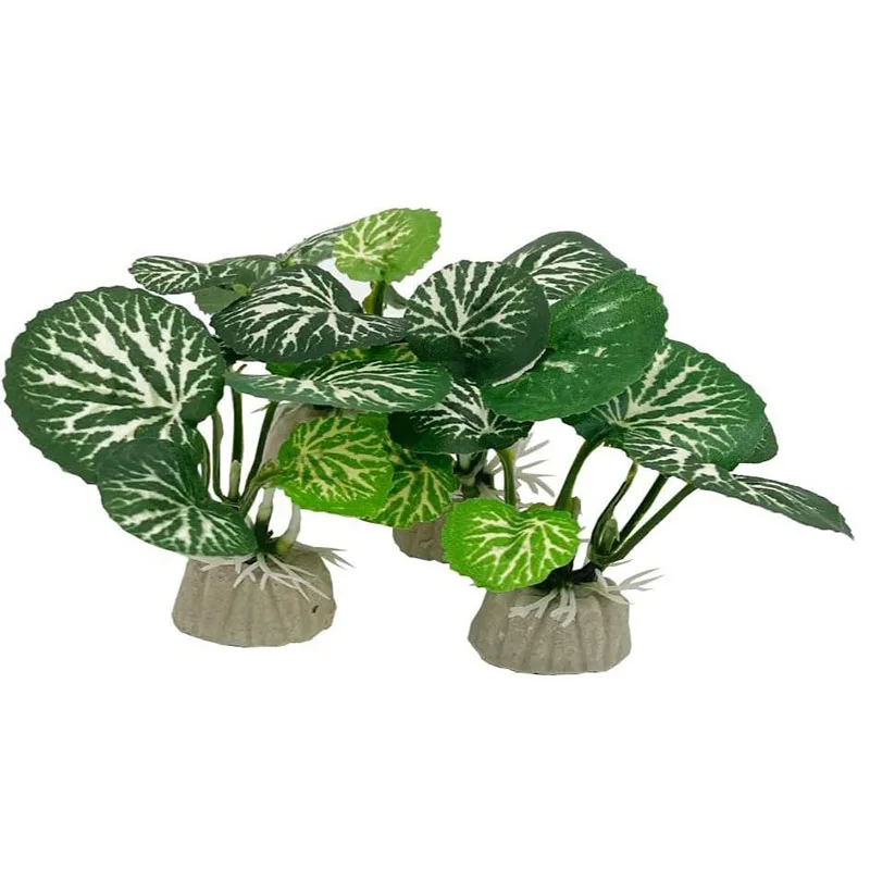 Petite herbe sous-marine pour  - Aquarium Planted Background avis et prix
