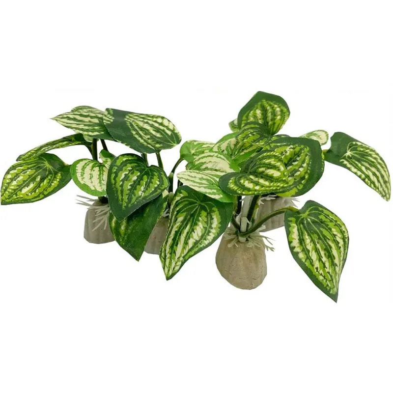 Petite herbe sous-marine pour  - Aquarium Planted Background avis et prix